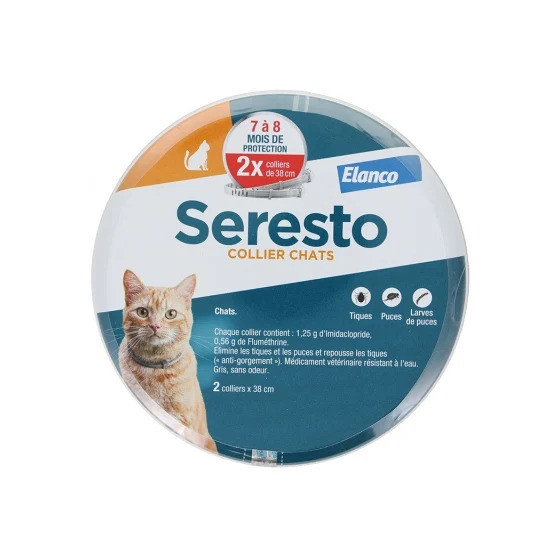 Snails Vernis Lavable pour...